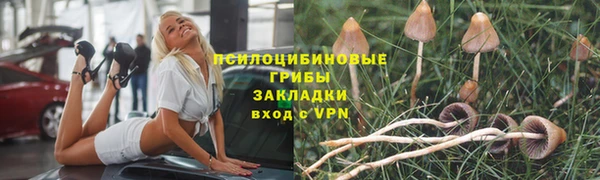 гашик Бородино