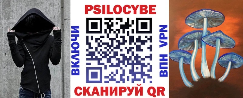 наркотики  hydra маркетплейс  Галлюциногенные грибы Psilocybe  Заринск 